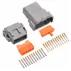 DTM 12 Way Kit Gold Solid