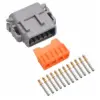 DTM 12 Way Plug Kit Gold Solid