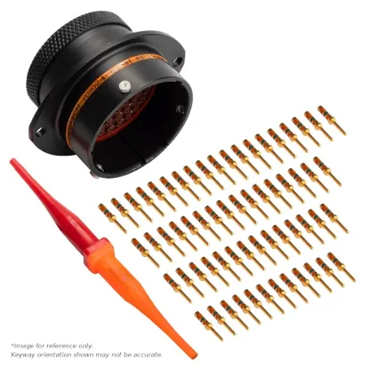 AS,61 WAY,FLG,PIN,C KEY,ORANGE - AS024-61PC