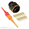 AS,19 WAY,PLG,SKT,C KEY,ORANGE - AS614-19PC