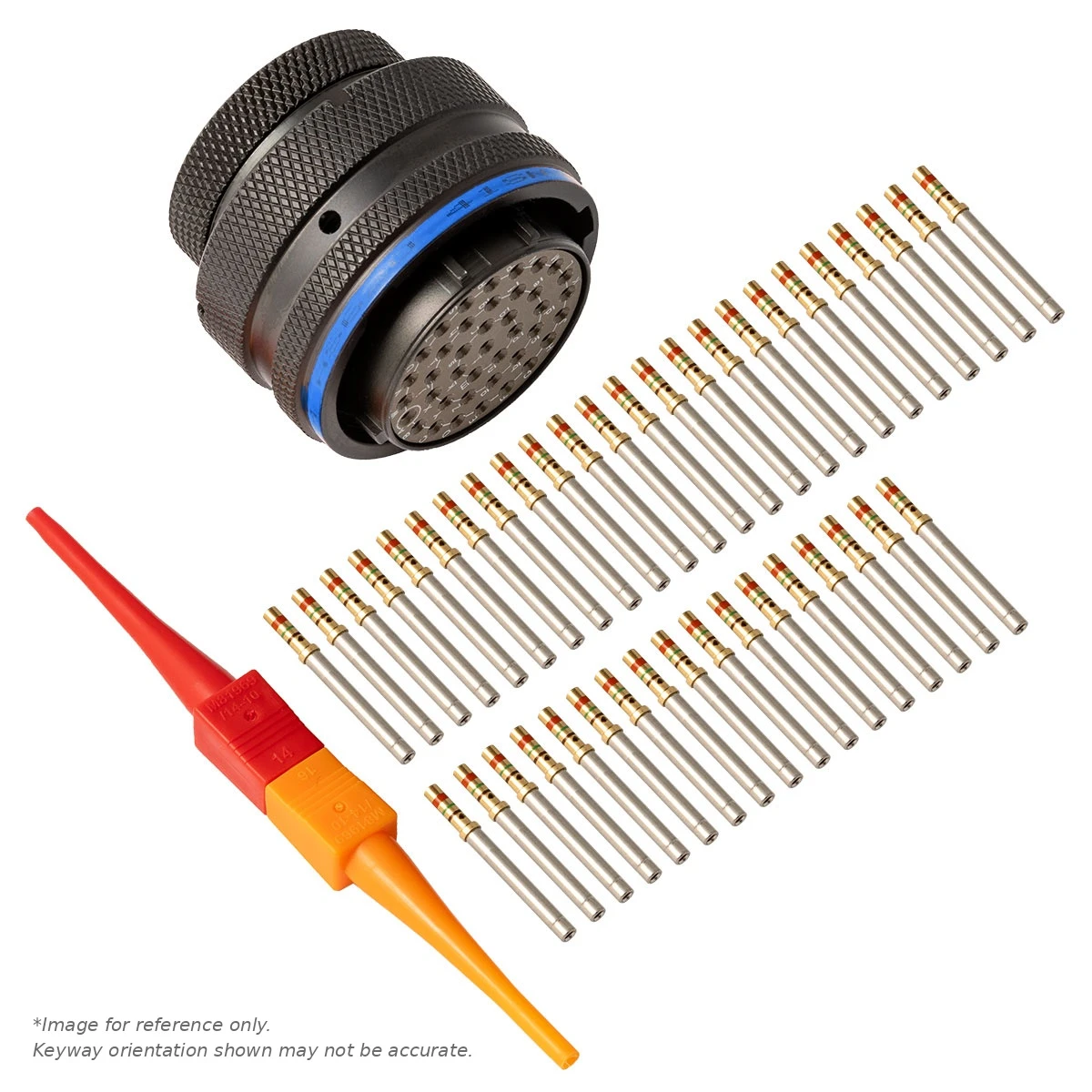 AS,41 WAY,PLG,PIN,B KEY,BLUE - AS620-41SB