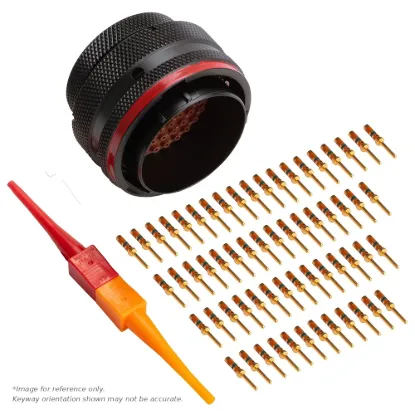 AS,61 WAY,PLG,PIN,N KEY,RED - AS624-61SN